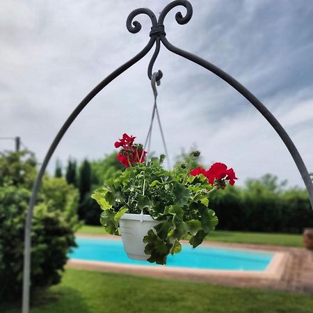 B&B Il Casolare Di Bonci Santa Maria a Monte Extérieur photo