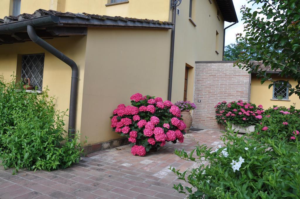 B&B Il Casolare Di Bonci Santa Maria a Monte Extérieur photo